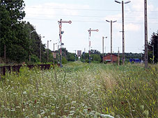 min 655 3.jpg min 655 3.jpg